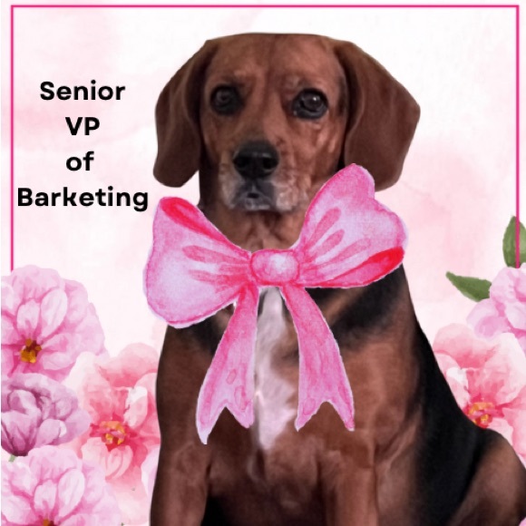 Meet your Posher, Karen - Picture 5 of 6